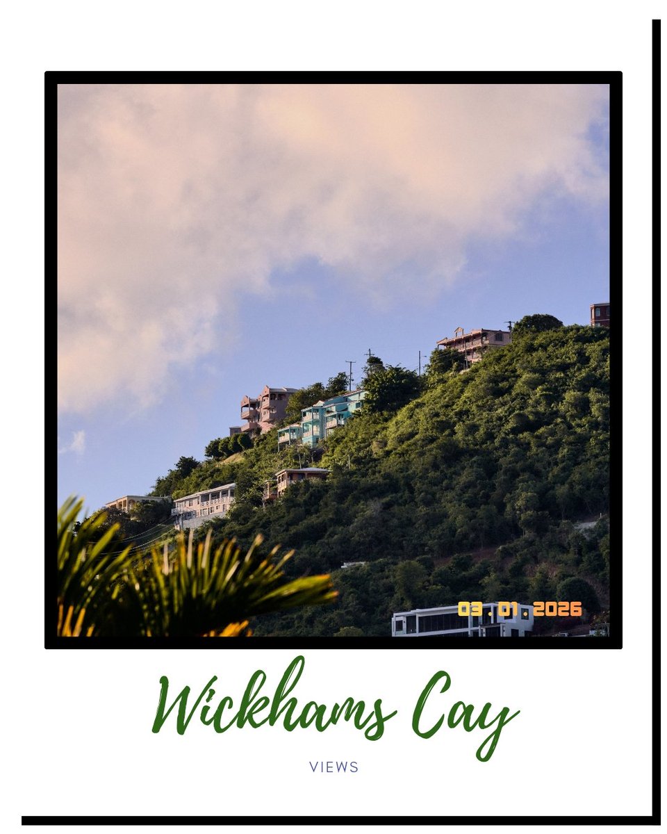 VIEWS By King tweet media