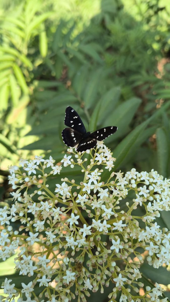 ★⊹𝒯𝒶𝓂𝒶𝓇𝒶⊹ ★ tweet media