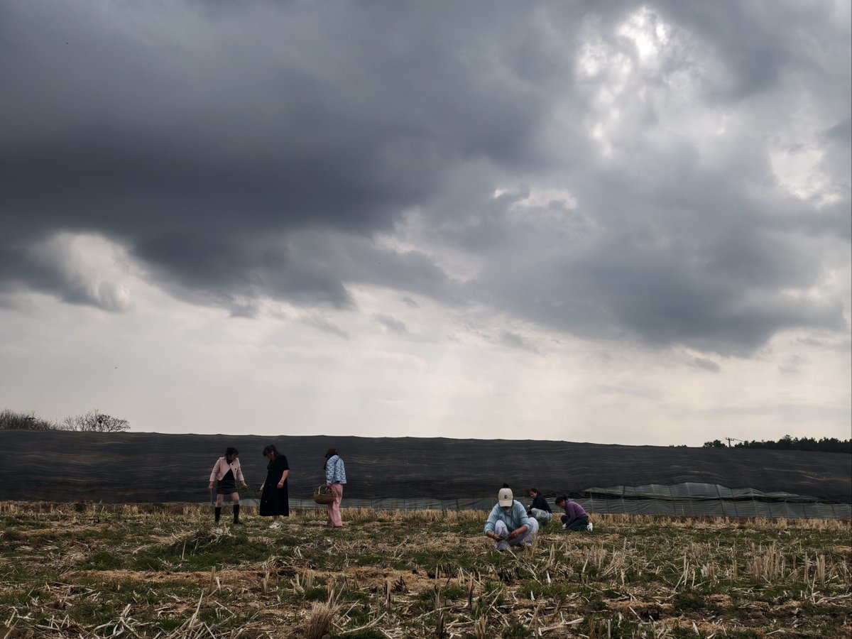 CHANSON STEPHANIE tweet media