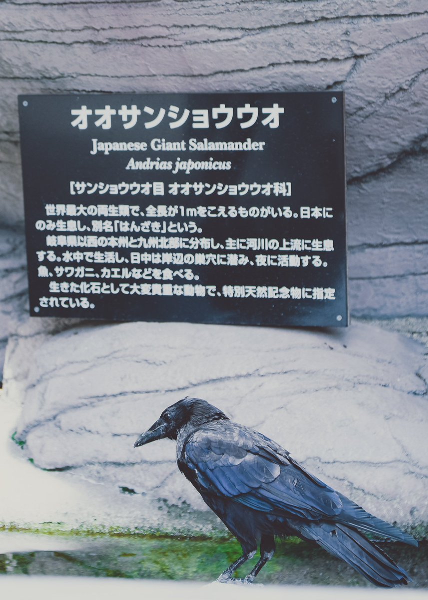 ふらっと💫 tweet media