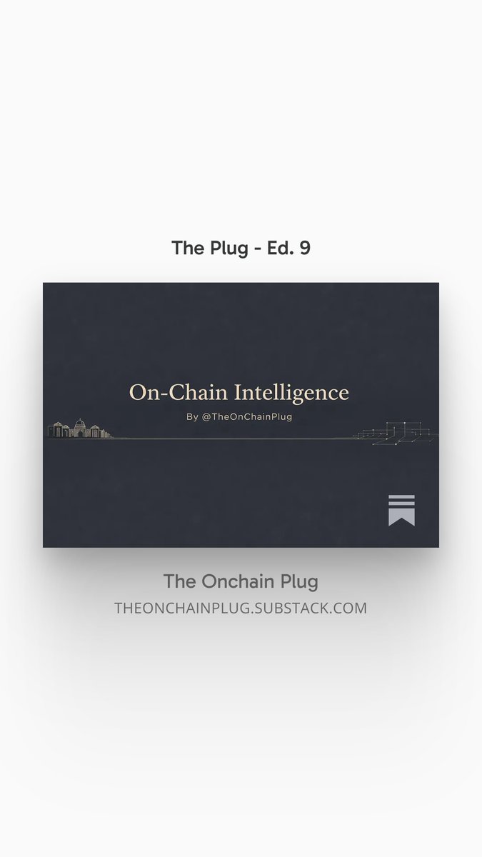 The Plug tweet media