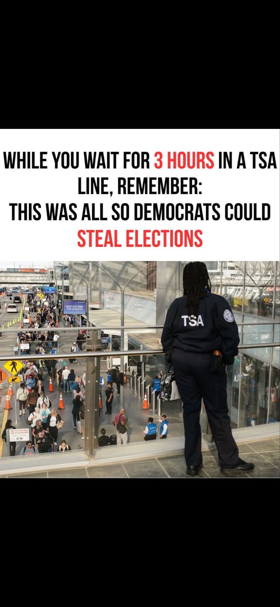 Primrose tweet media