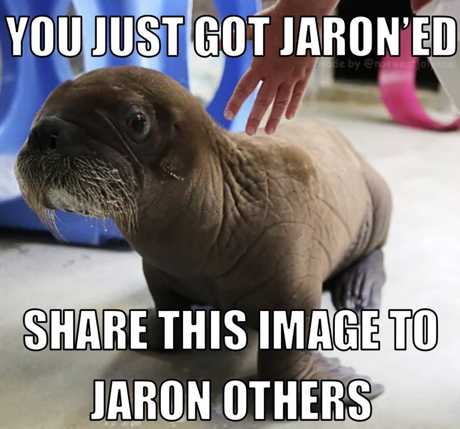 Magicat 🔮🐈‍⬛🧙 tweet media