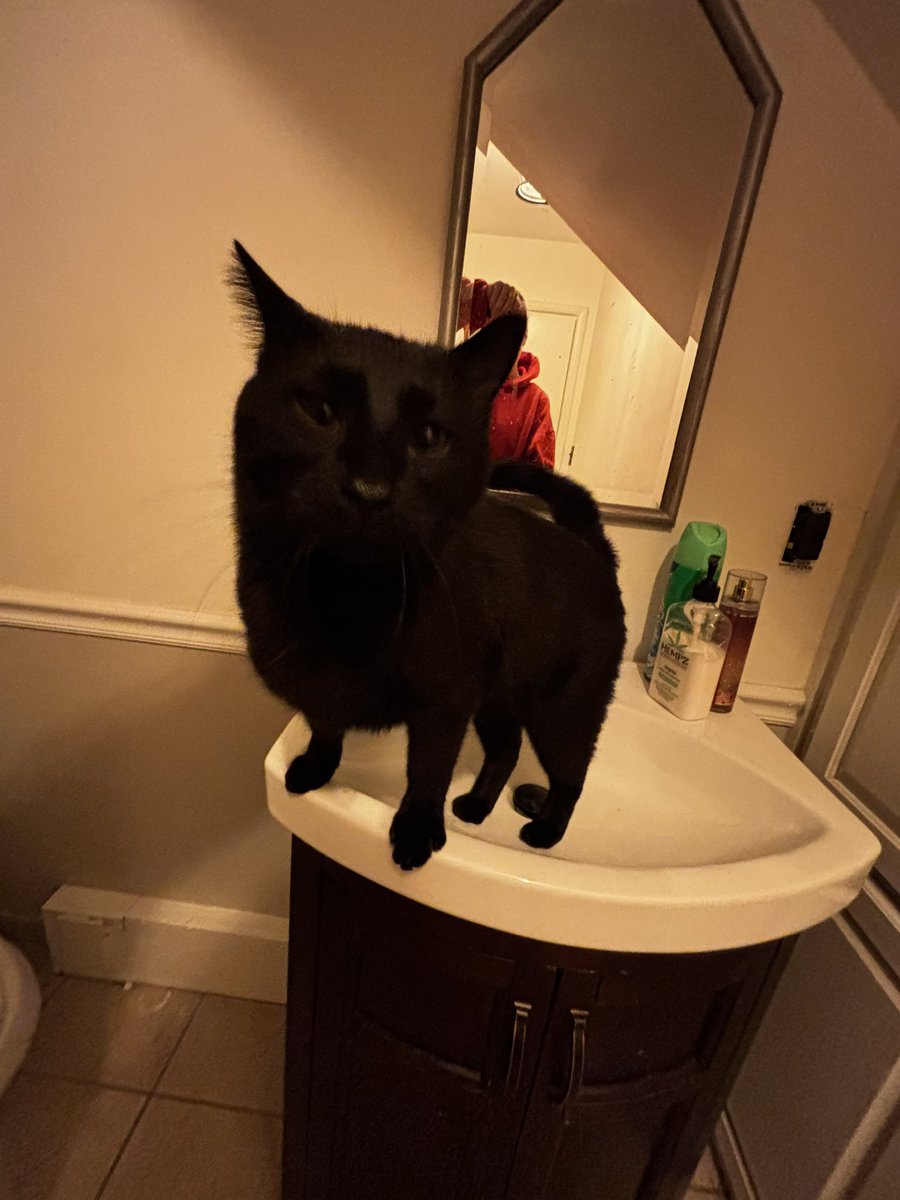 dio / hunter ᵔᴗᵔ 🧟 tweet media