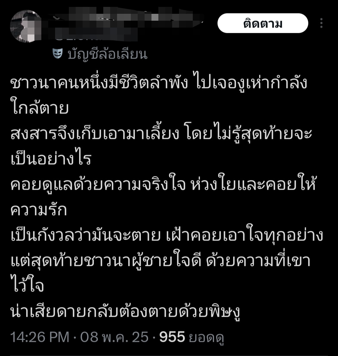 บอร๊๊๊๊๊๊๊๊อick😻🐾 tweet media