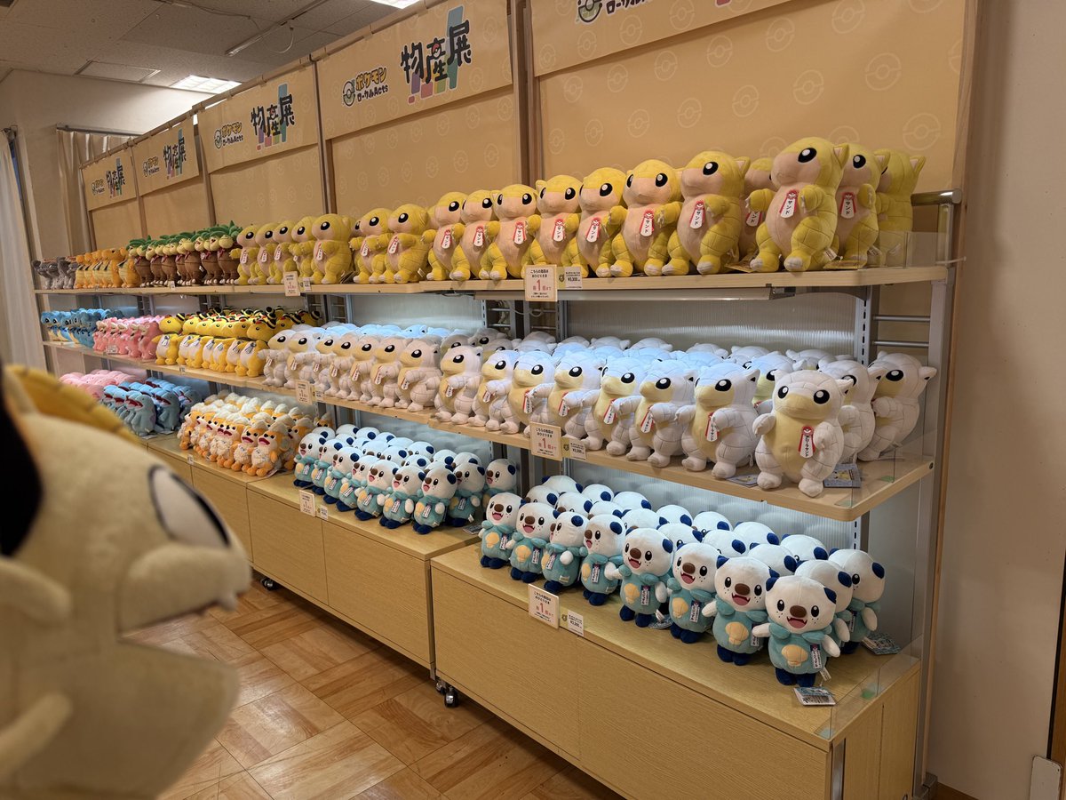 ローカルActs推しポケモンぬいぐるみも先行発売で新登場！✨
pokemon.co.jp/goods/2026/03/…