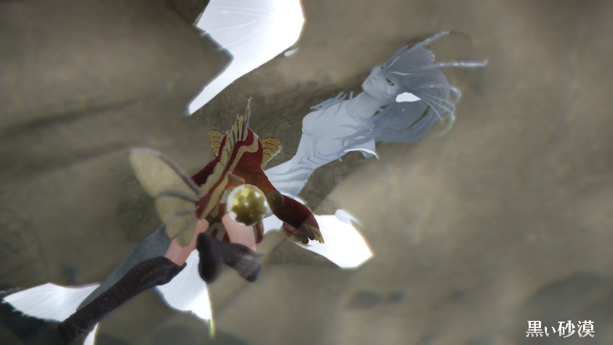 シャトノワール🐾Chaton🐈⬛ tweet media