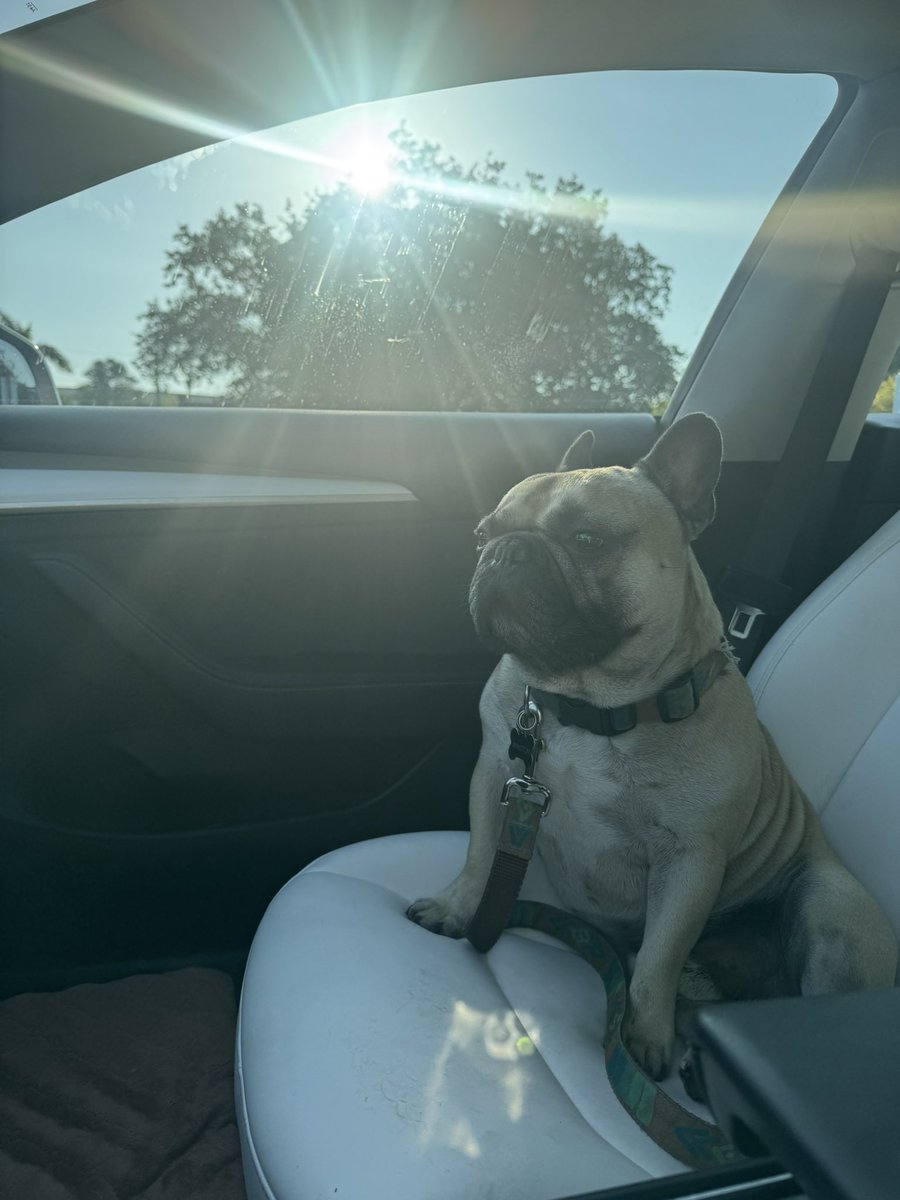 WITTLEBEARS tweet media