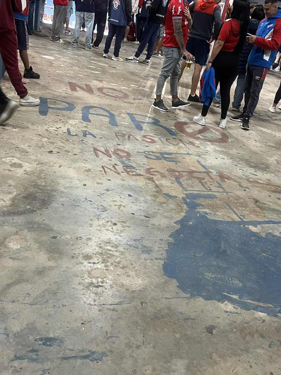 El OREJA BOLSO tweet media