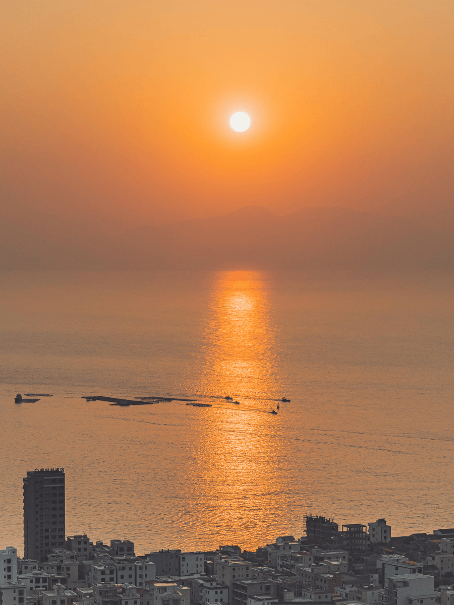 Oswaldo Delfin Gil tweet media