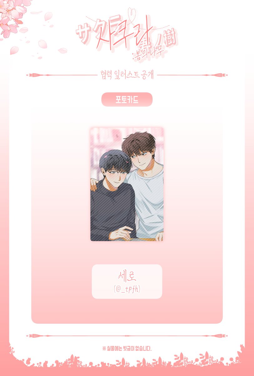 사쿠라 : 봄의 나무(サクラ : 春ノ樹) tweet media