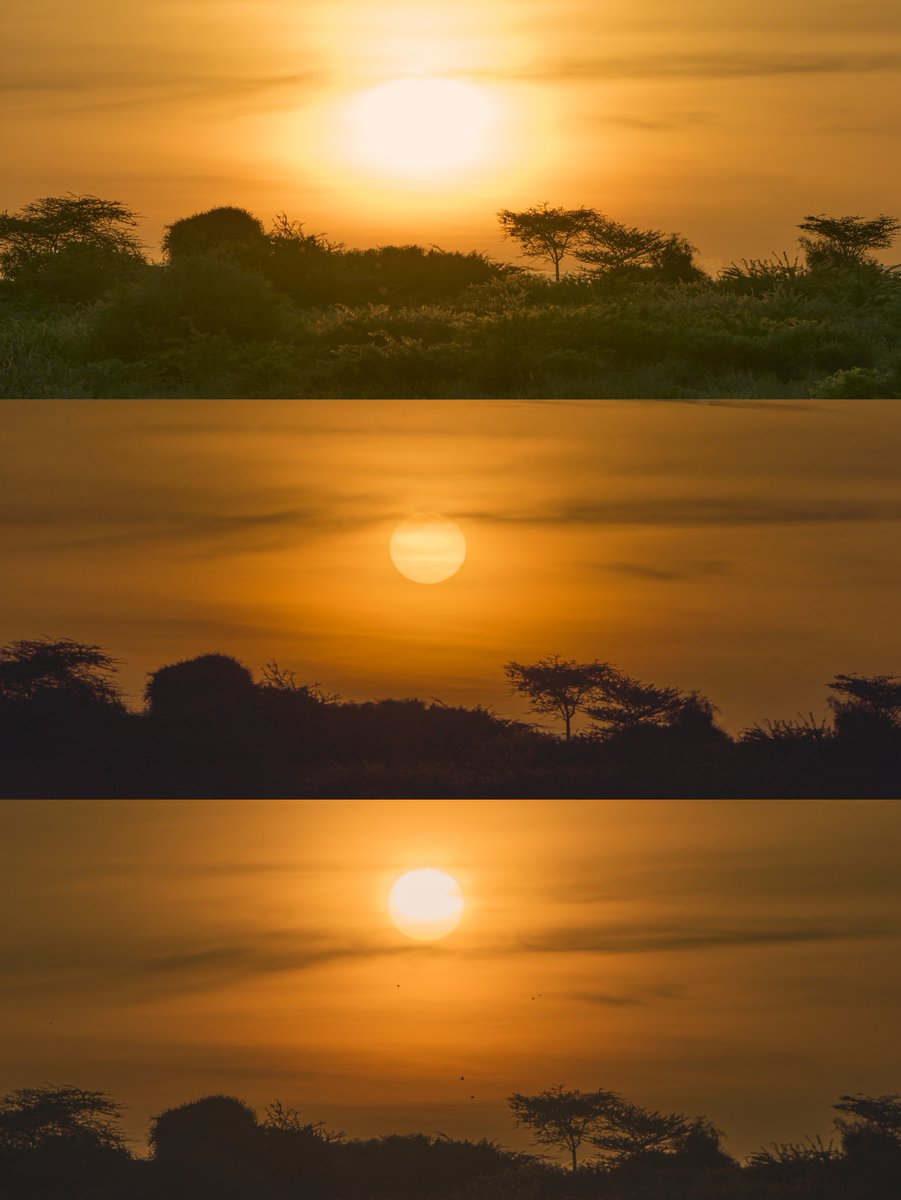 ˢᵘⁿ_ᶜʰᵃˢᵉʳ ☀️📸 tweet media