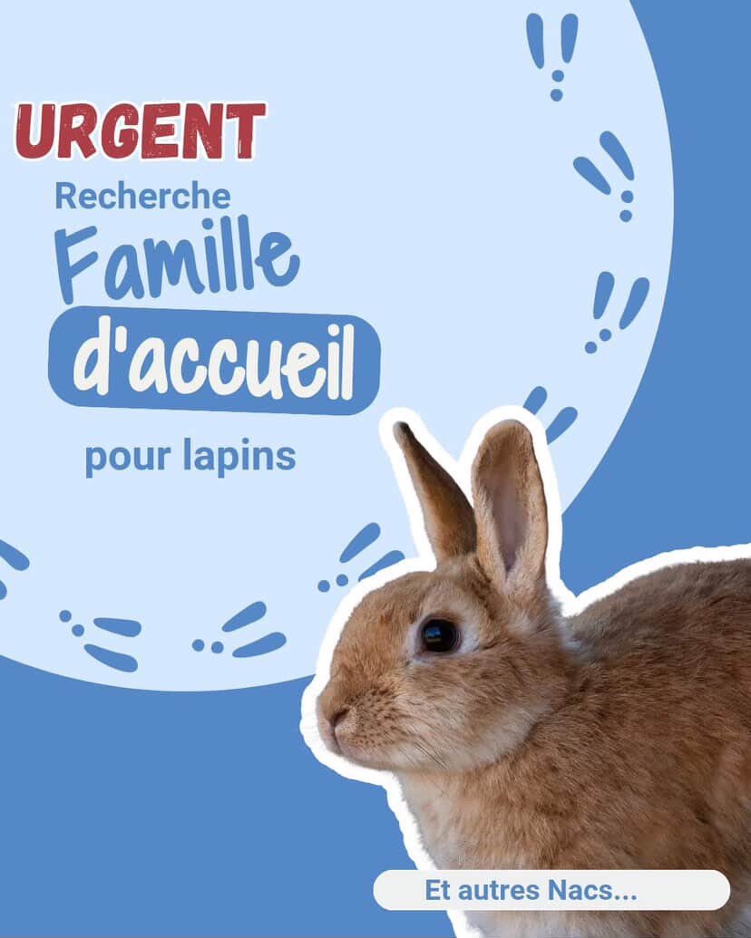 jean d4rk cross bitume 🇵🇸 tweet media