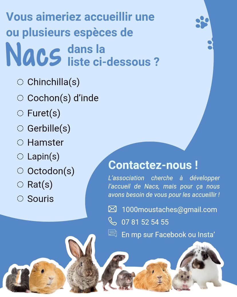 jean d4rk cross bitume 🇵🇸 tweet media