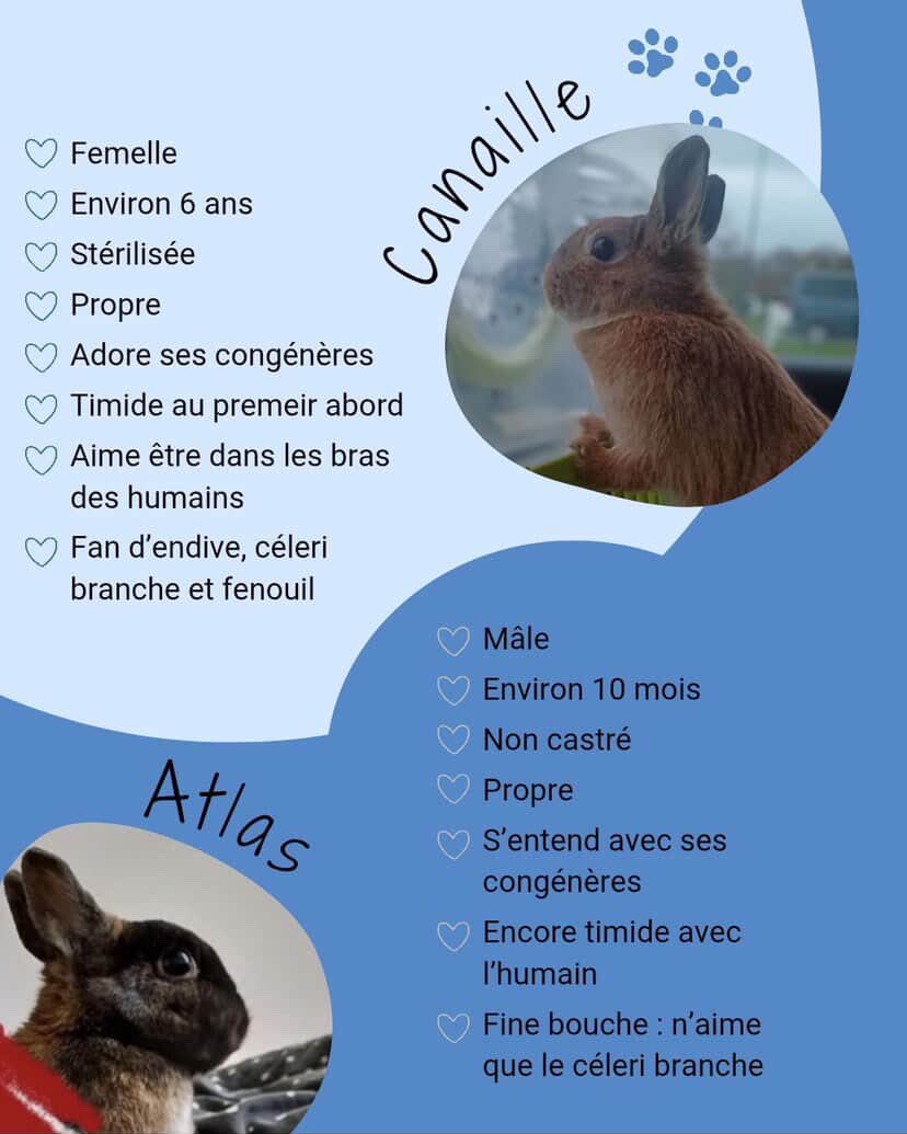 jean d4rk cross bitume 🇵🇸 tweet media