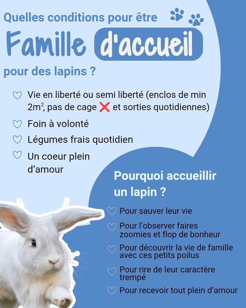 jean d4rk cross bitume 🇵🇸 tweet media