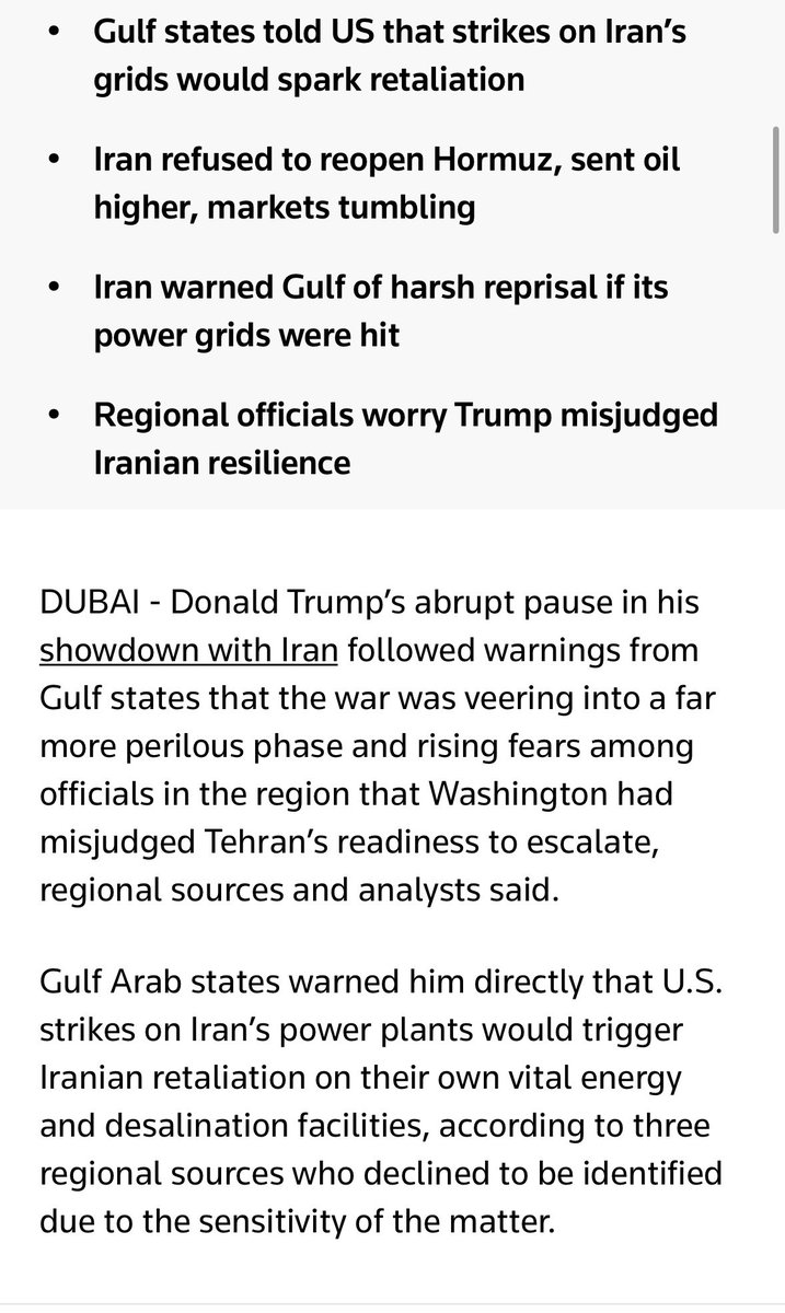 Hümeyra Pamuk tweet media