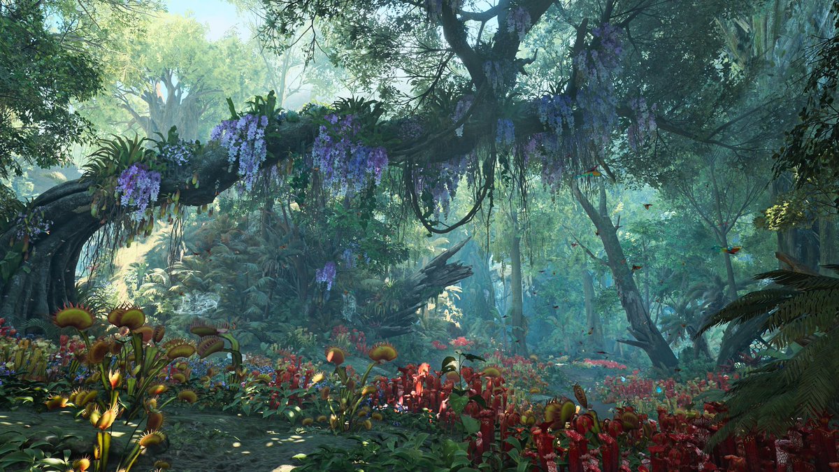 ✨Reika* tweet media