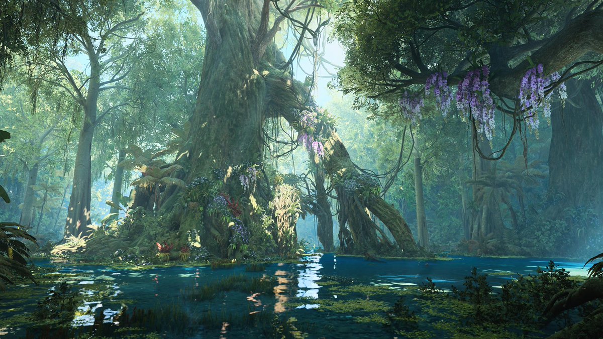 ✨Reika* tweet media