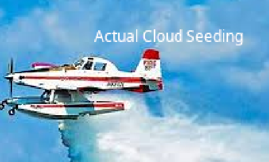 David C Sparks tweet media