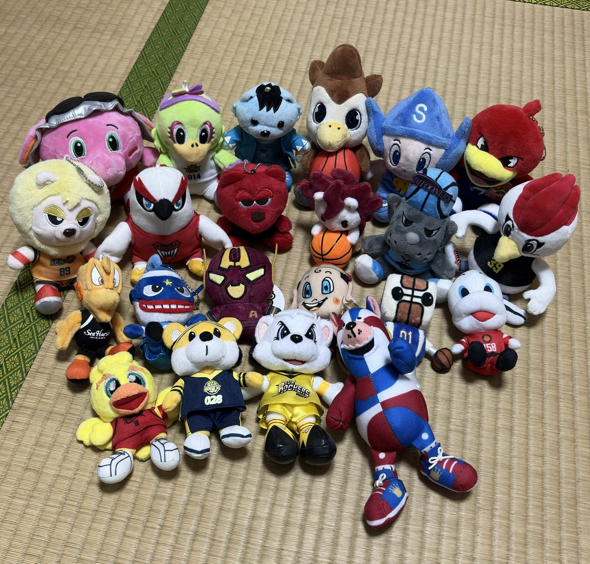 𝒕𝒂𝒎𝒐🐦‍🔥🐱🐉🎲🦅 tweet media