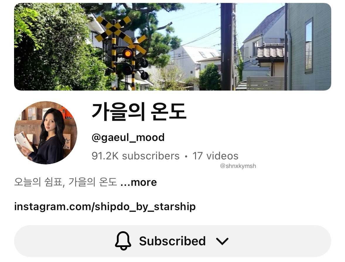 shin ˚.🎀༘⋆ | will see ive .☘︎ ݁˖ tweet media