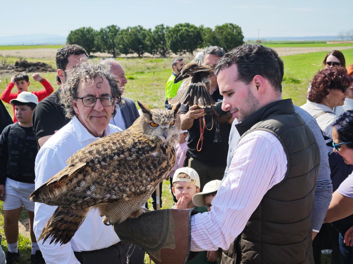 🇪🇸 Fernando Toribio 🇪🇸 tweet media