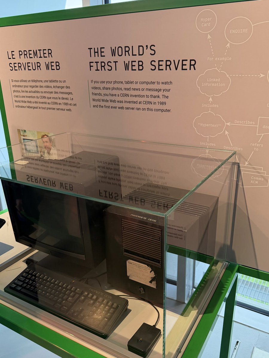 cerasinus septem tweet media