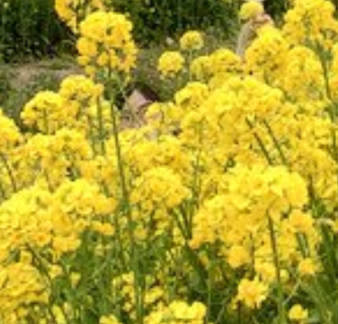 hiro@🐈⬛❄️🪄︎︎ tweet media