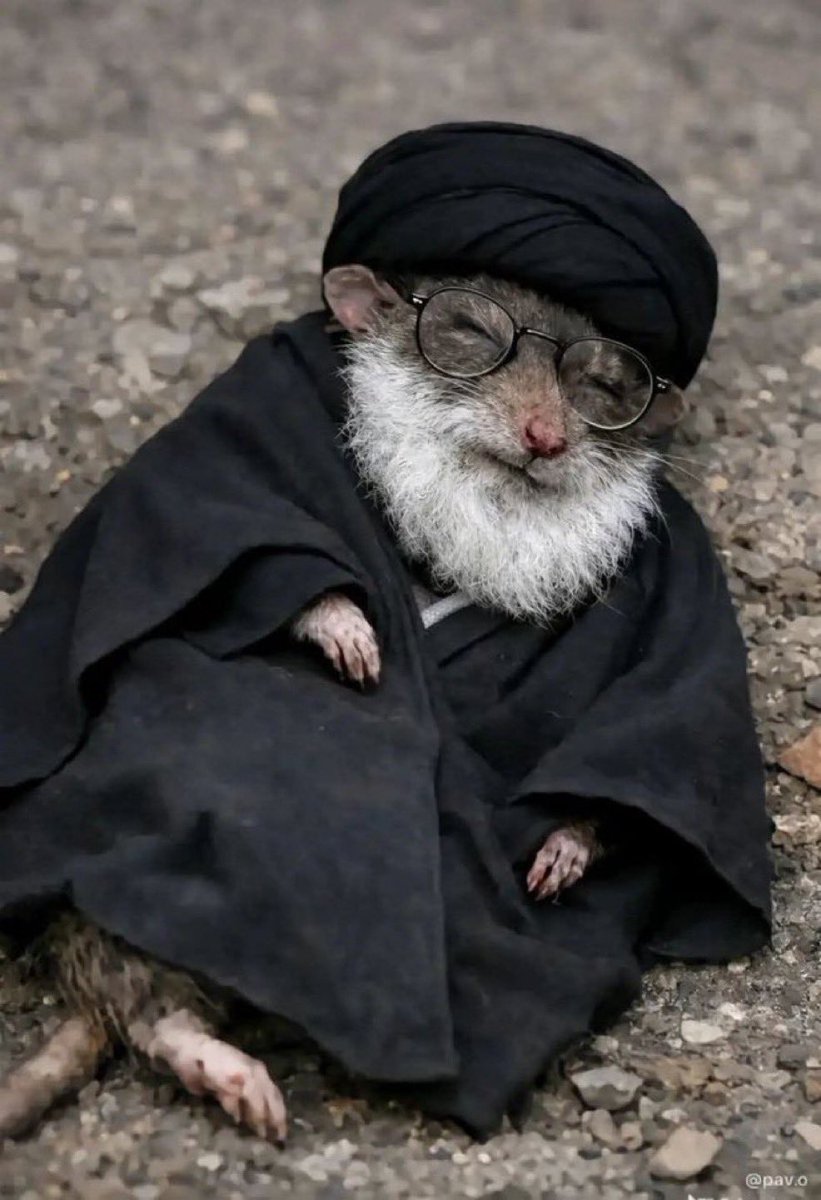 حوجن الطمحي Hwjn Al-tamhi tweet media