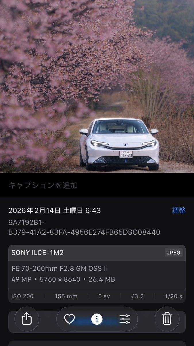 なにょん tweet media