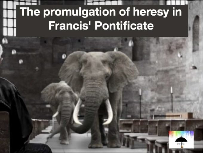 Deacon Nick Donnelly tweet media