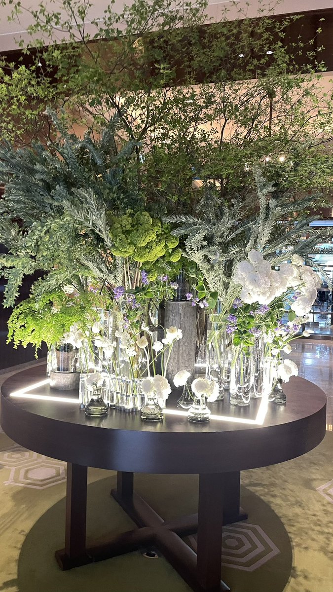 Love this blooming, festive mood every year🌸 根津の椿も☺️