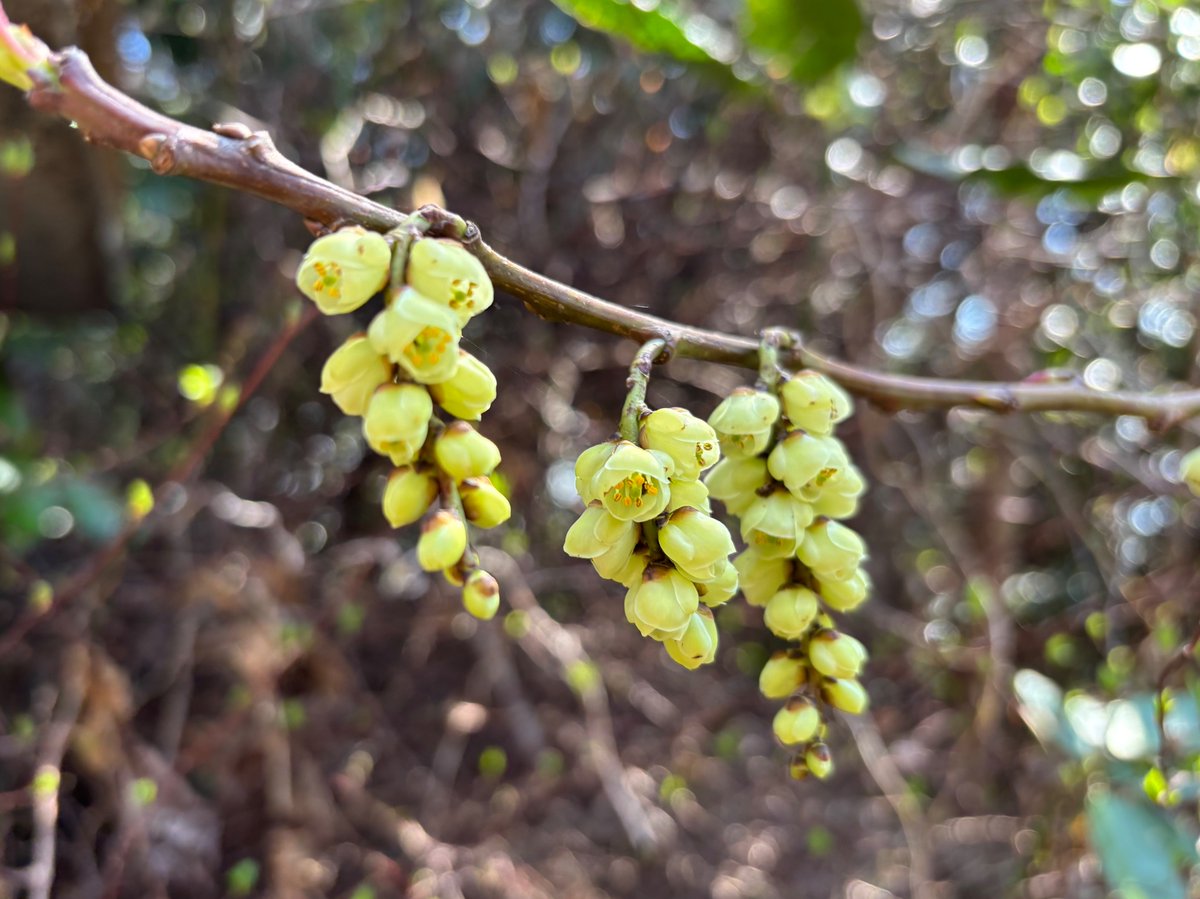 Takeshi CHUJO (中條岳志) tweet media