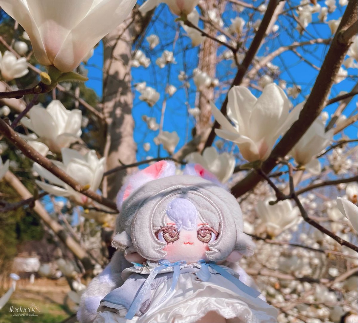 𝚌𝚘𝚌𝚊 tweet media