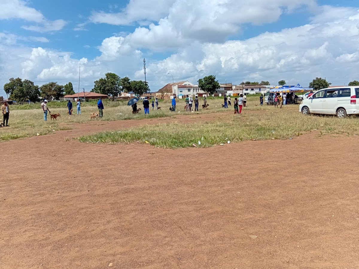 Johannesburg SPCA tweet media