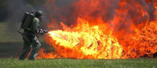 丸目 多聞 tweet media