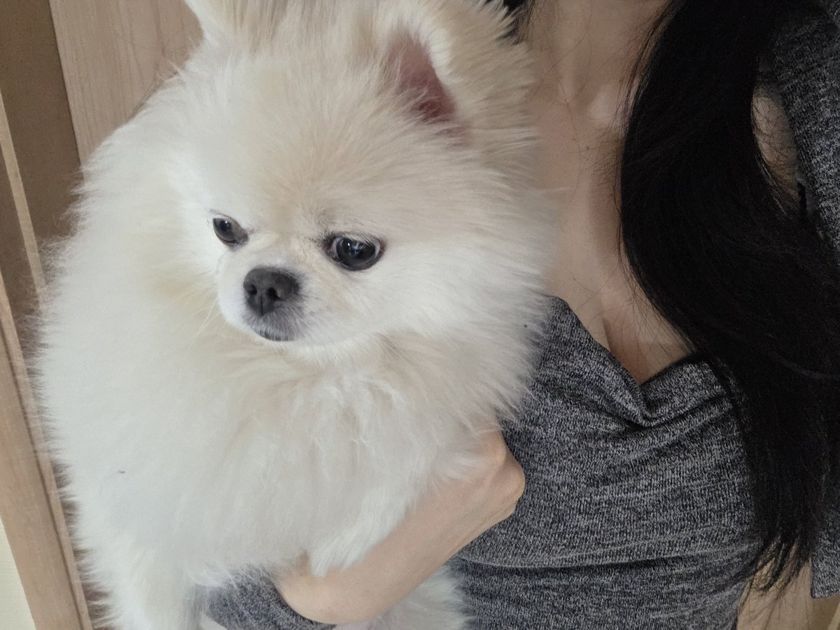 사란짱 ❤️ tweet media