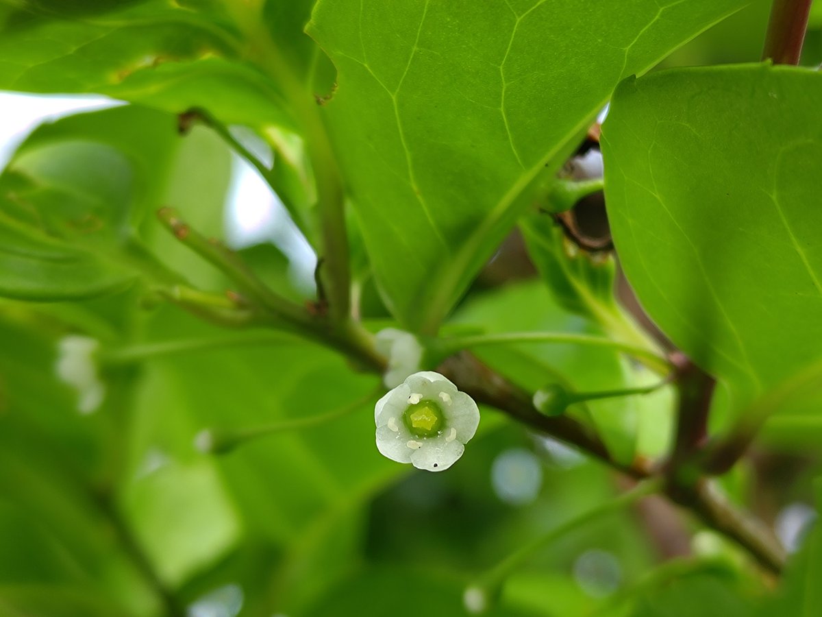 李元宇 tweet media