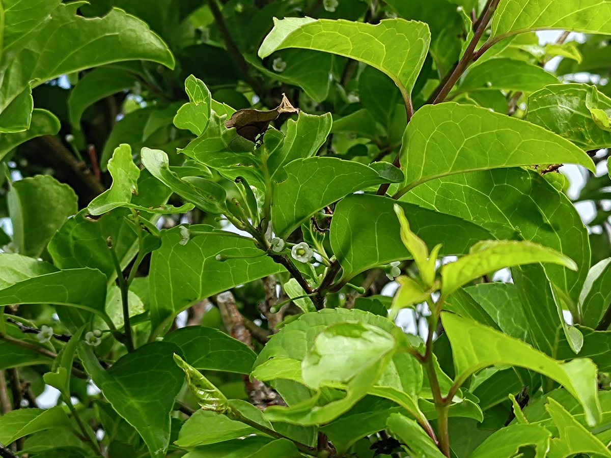 李元宇 tweet media