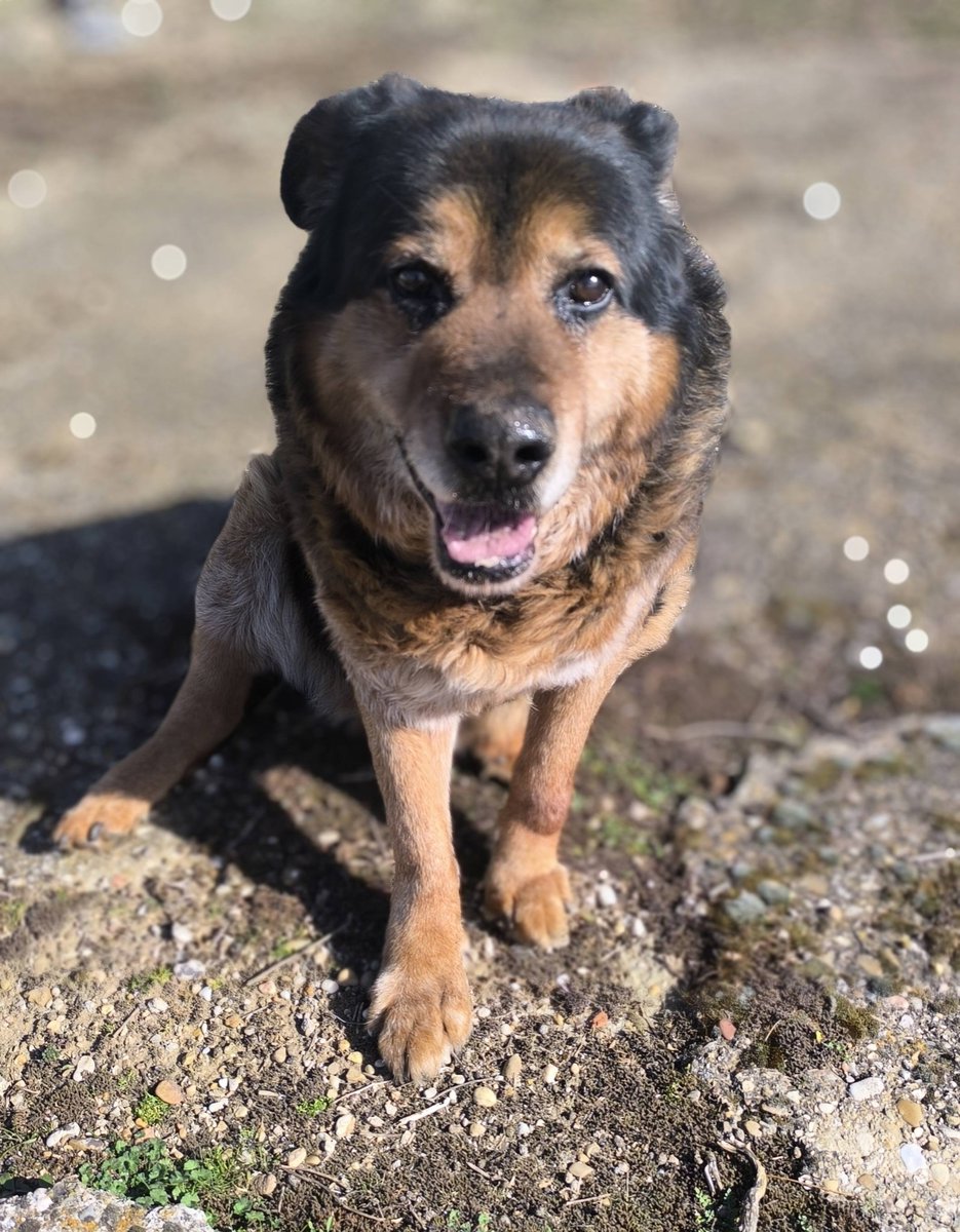 SOS Abuelos tweet media