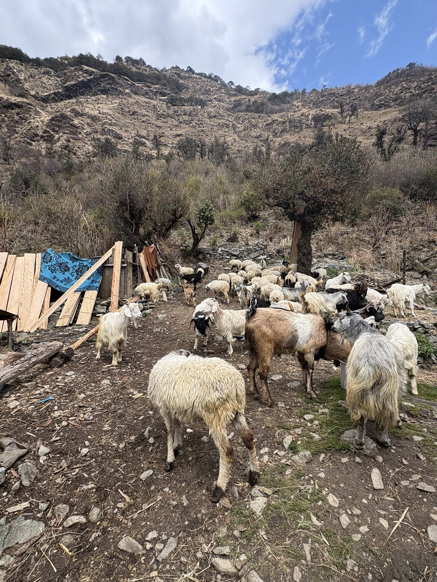 वेदव्यास tweet media