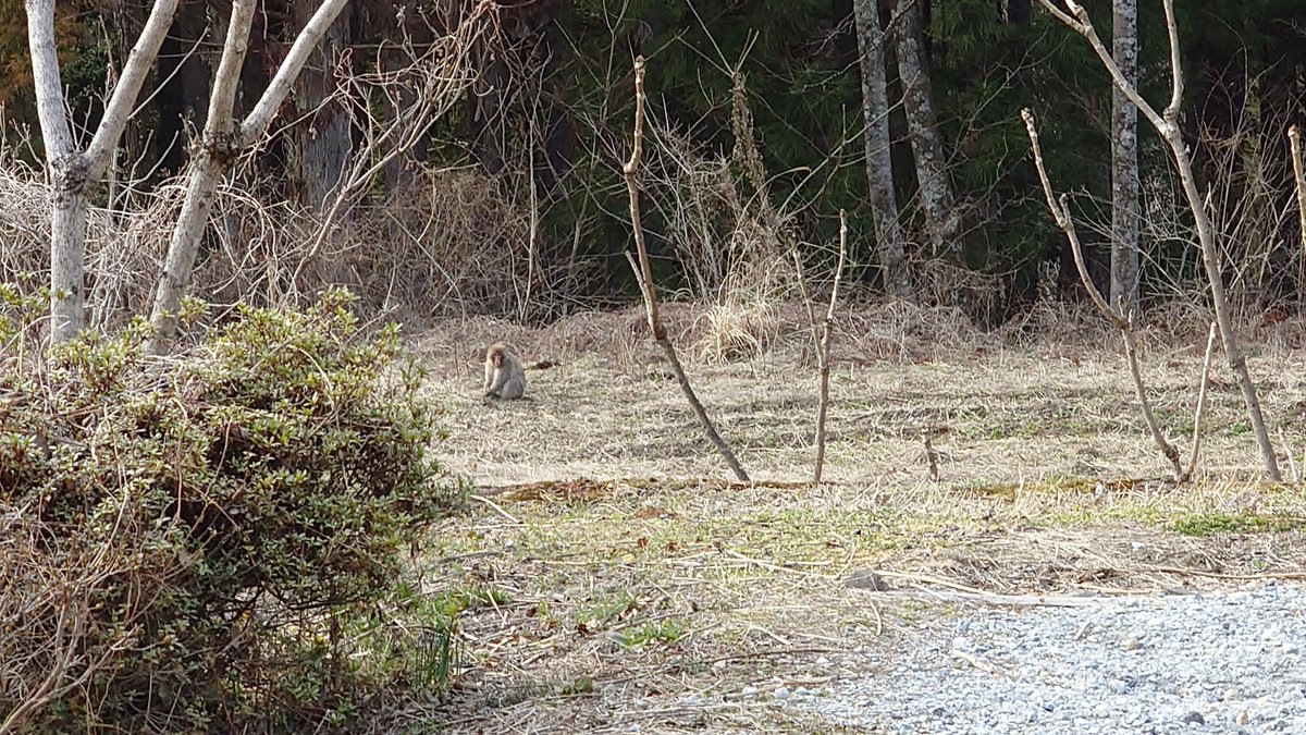 知◇九州コミティア10参加 Q02配置 tweet media