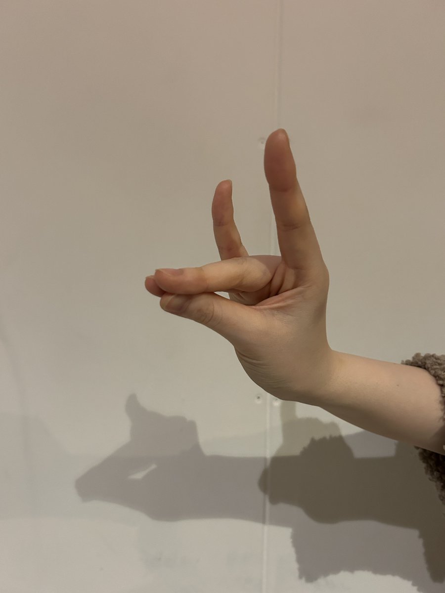 PANDAMIC→PANDA CLUB tweet media