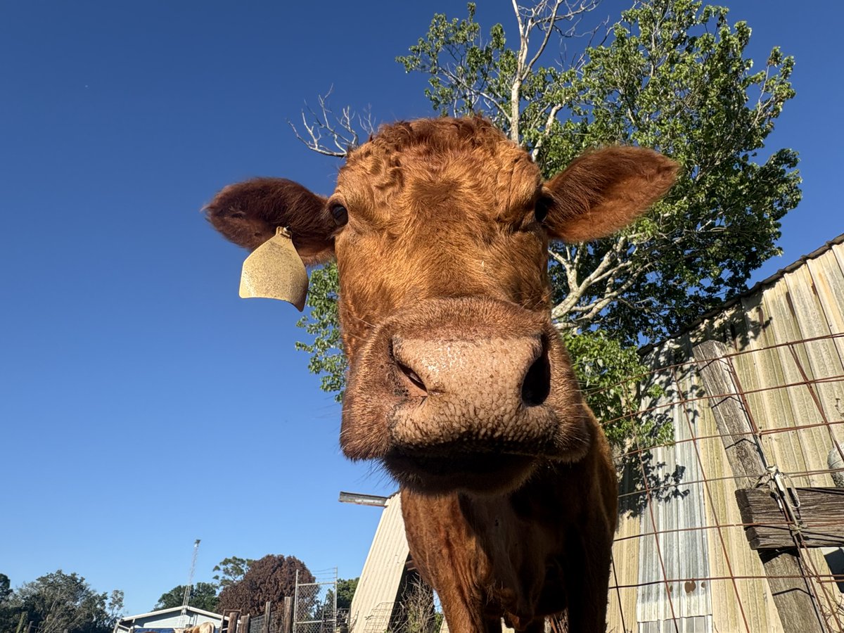 Claire Hair tweet media