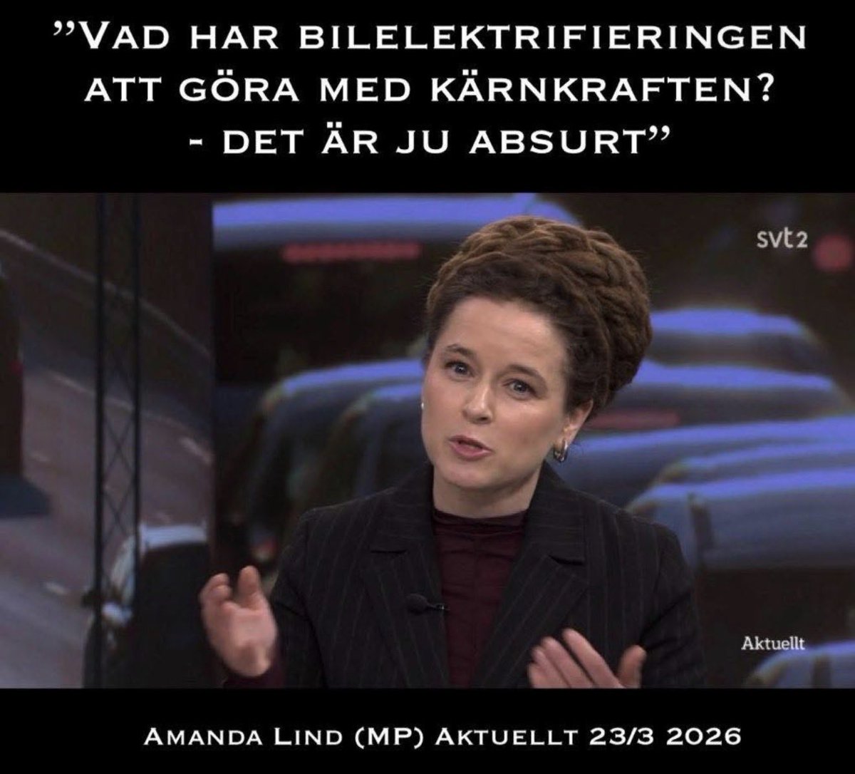 THESWEDISHTRUTH tweet media