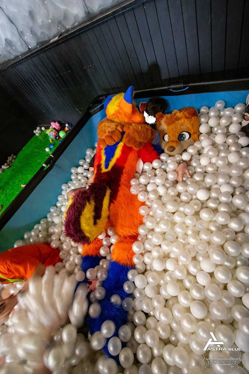 Freaky Apollo™ tweet media