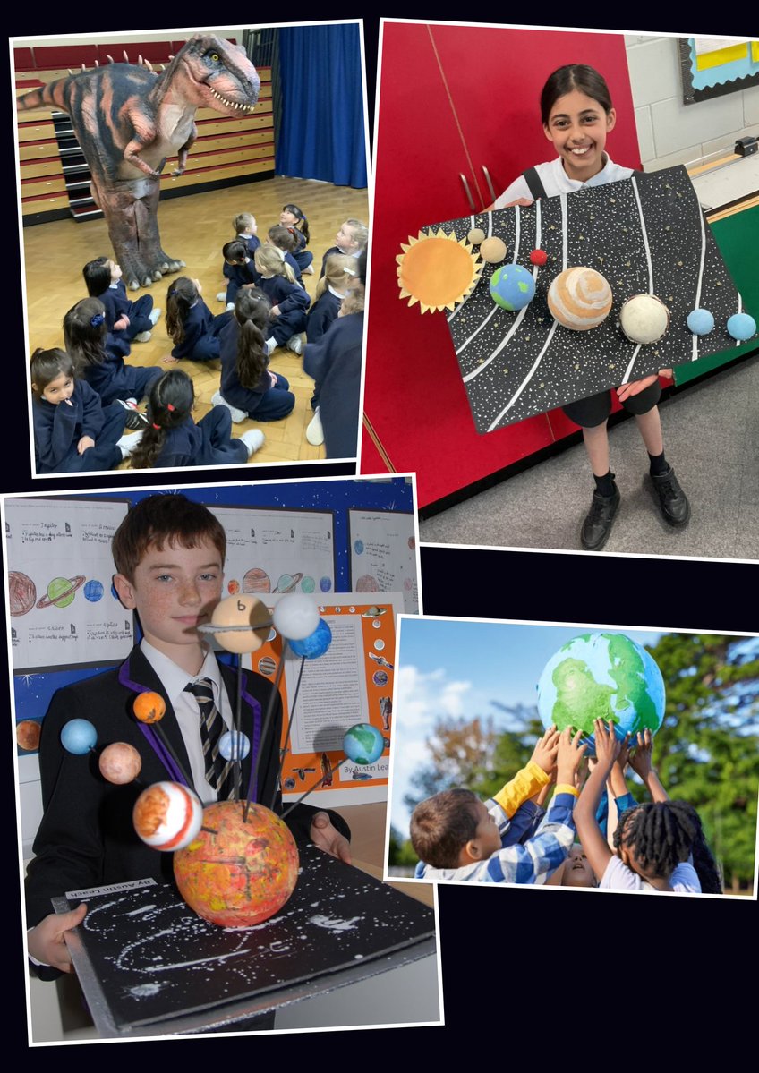 RED PILL MONKEY 🔴🐒 tweet media