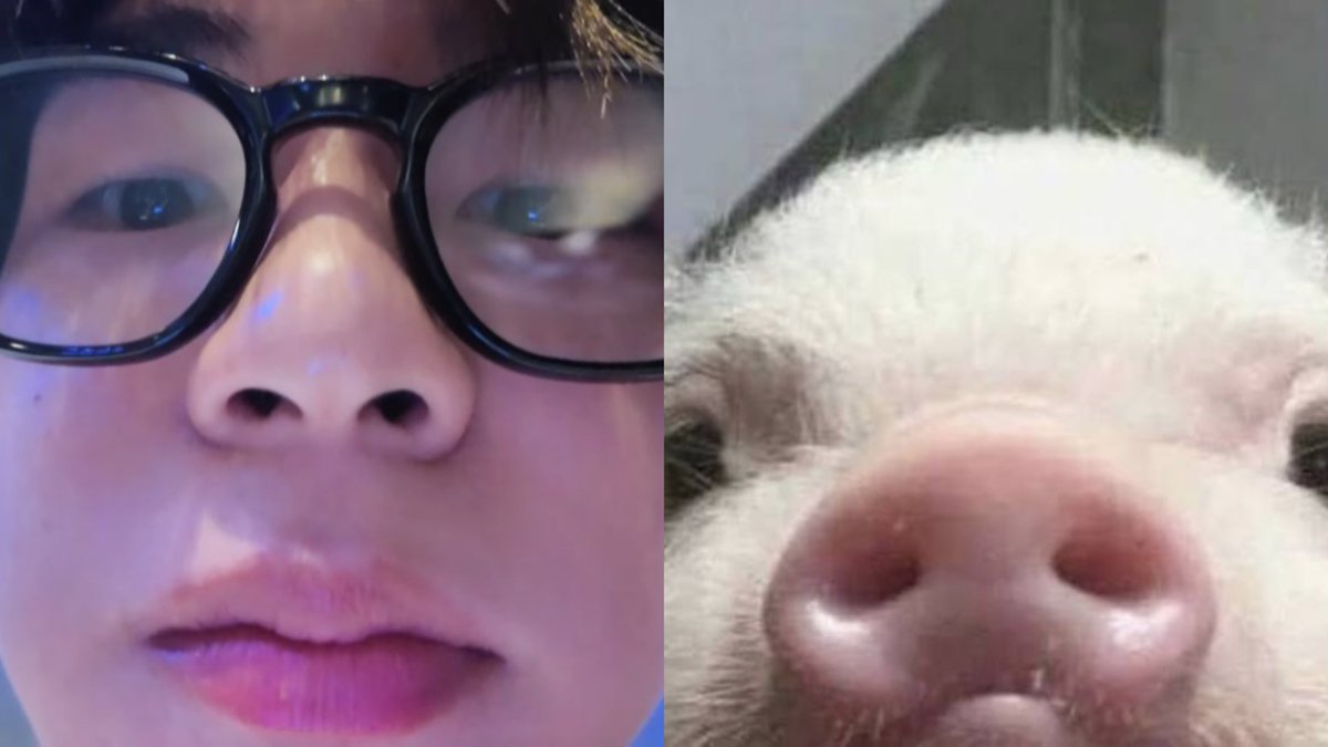 ตี๋อุ้ดอุ้ดกลมกลม ᐢ`🐽´ᐢ