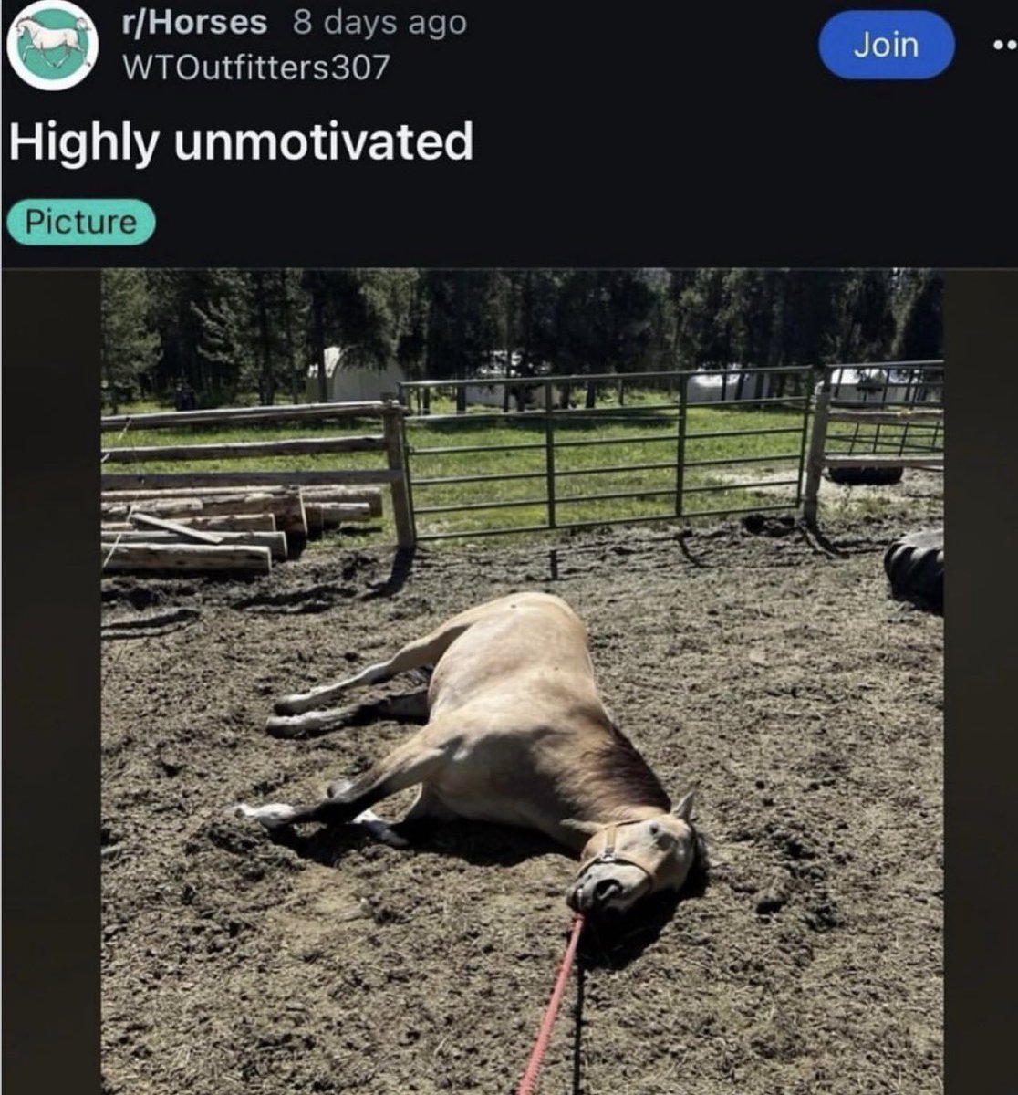 DeviantPigg tweet media